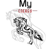 my energy logo